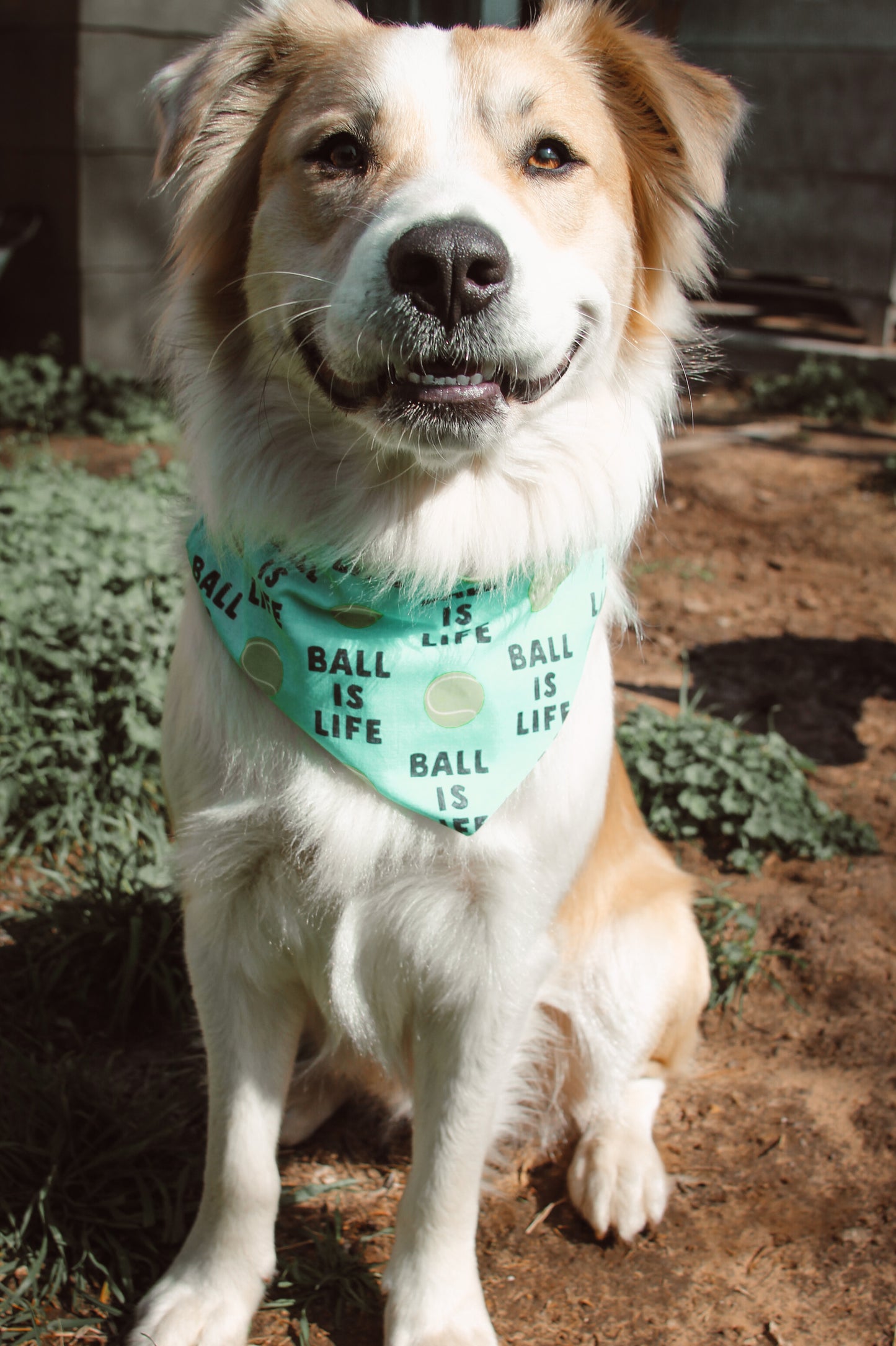 Ball Is Life Bandana