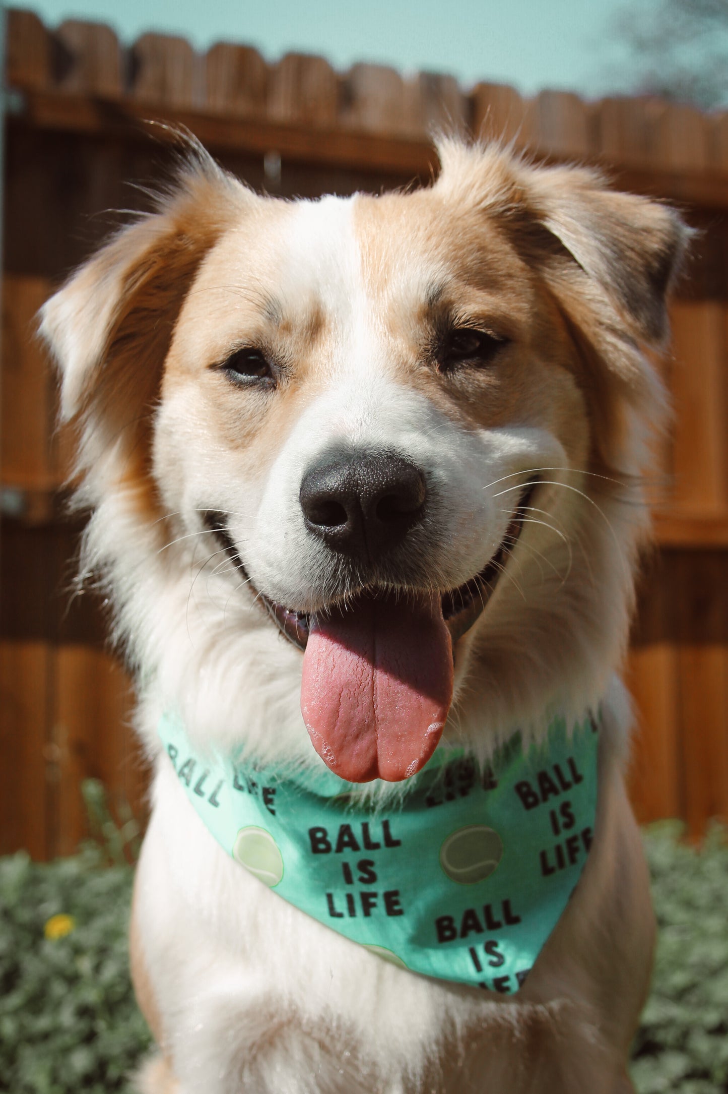 Ball Is Life Bandana